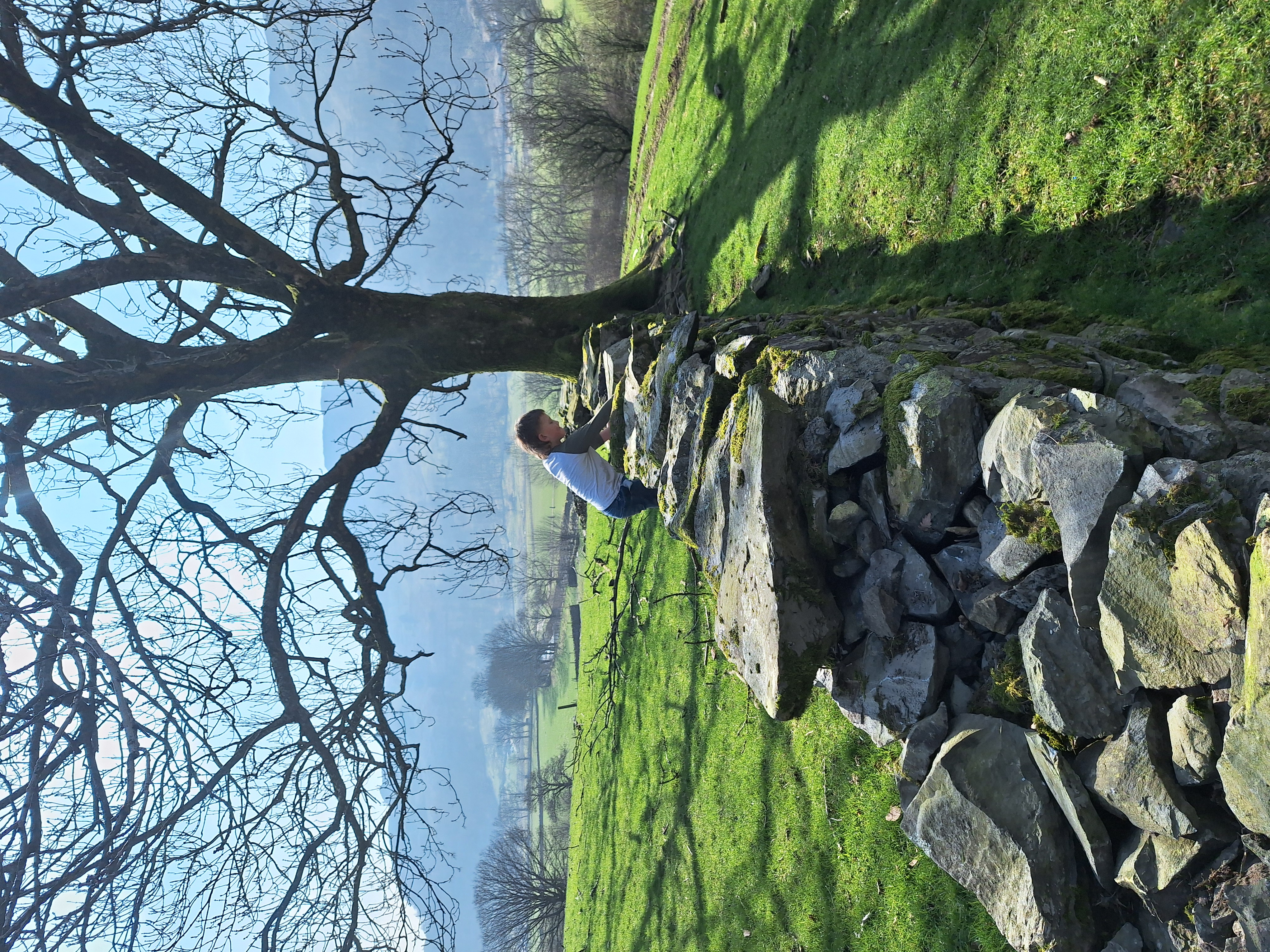 Glamping in the Lake District at Harry Place Farm